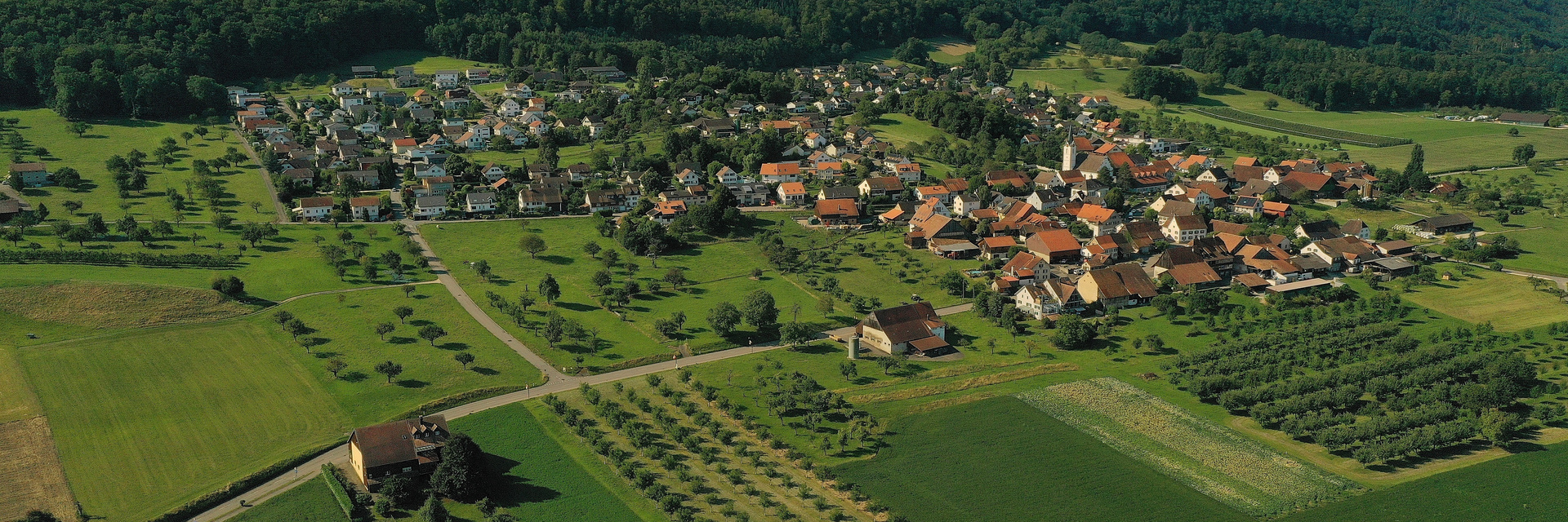Metzerlen-Sommer 2025_05 Metzerlen-Sommer 2025_05