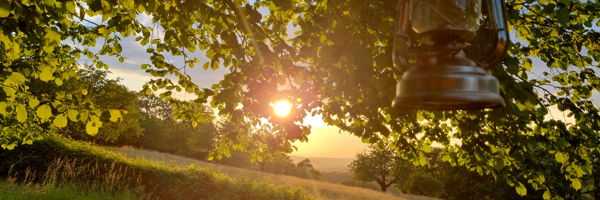 Sonnenuntergang, Baum, Feld Sonnenuntergang, Baum, Feld